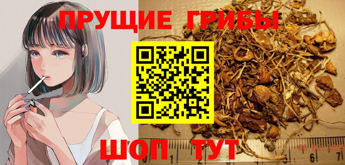 Невинномысск  Псилоцибиновые грибы прущие грибы  Вход с VPN 